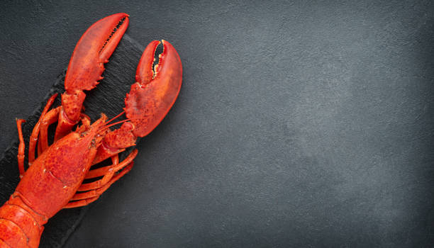 istock Prepared red lobster on dark concrete stone background. Top view, copy space 1397357373
