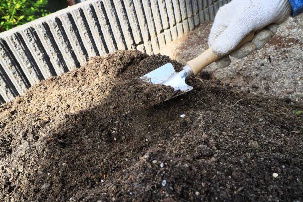 istock Plow a kitchen garden with a shovel to make soil 1397357534