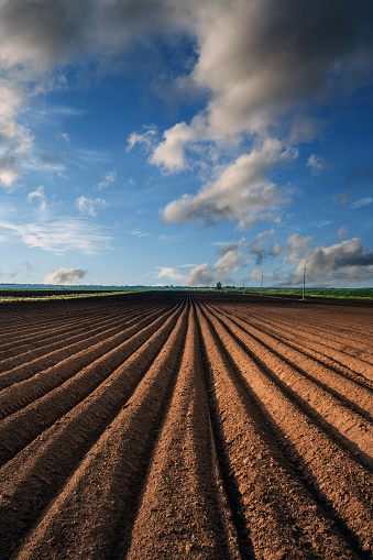 Plowed field on a background of blue sky in early spring