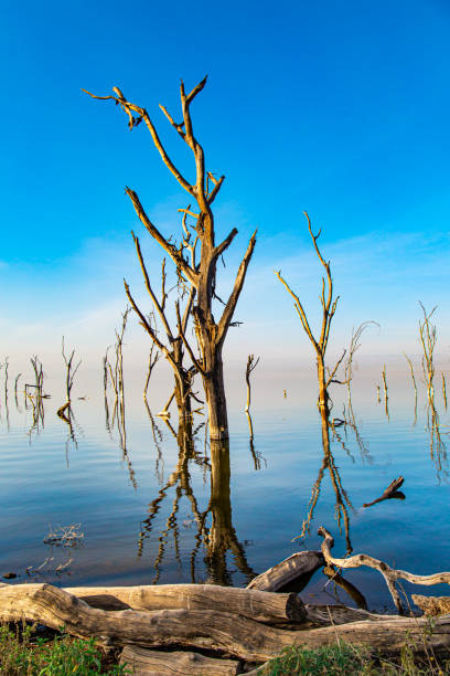 istock Central Kenya in East Africa. 1397359343