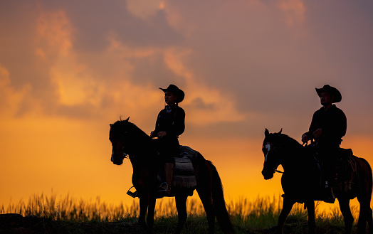 Three men dressed in cowboy garb, with horses and guns. A cowboy riding a horse in the sunset is silhouetted in black.