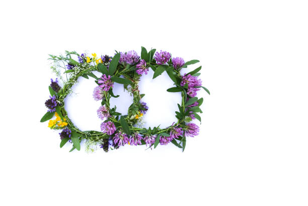 istock Floral wreaths on white background. Top view 1397361123