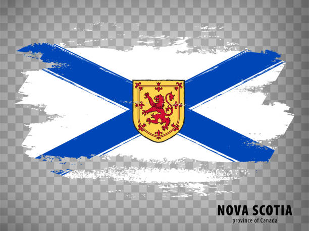 ilustrações, clipart, desenhos animados e ícones de bandeira da nova escócia de pinceladas. canadá.  flag province of nova scotia com título em fundo transparente para o seu design de site, aplicativo, ui.  ilustração vetorial. eps10. - saskatchewan flag canada banner