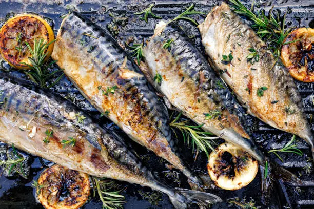 Mackerel fish on a grill plate with herbs and lemon slices, top view