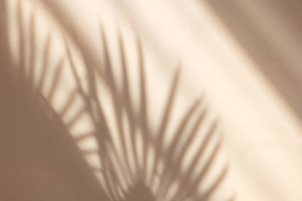 istock Palm leaves shadow on pastel beige wall background . Summer tropical beach background. Top view, flat lay, copy space, wallpaper 1397363958