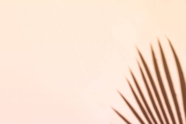 istock Palm leaves shadow on pastel beige wall background . Summer tropical beach background. Top view, flat lay, copy space, wallpaper 1397363971