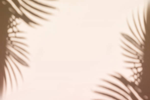 istock Palm leaves shadow on pastel beige wall background . Summer tropical beach background. Top view, flat lay, copy space, wallpaper 1397363999