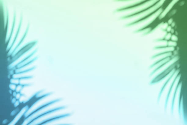 istock Palm leaves shadow on gradient pastel green and blue wall background . Summer tropical beach background. Top view, flat lay, copy space, wallpaper. 1397364009