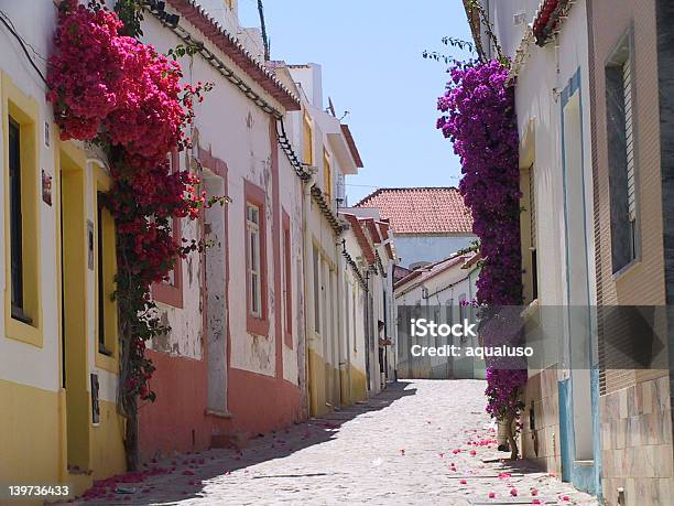 スリープ Street - アルガルヴェのストックフォトや画像を多数ご用意 - アルガルヴェ, ポルトガル, 一輪の花