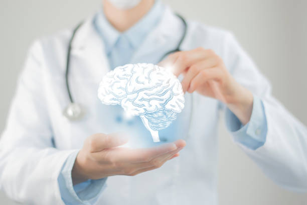 istock Unrecognizable doctor holding highlighted handrawn Brain in hands. Medical illustration, template, science mockup. 1397367303