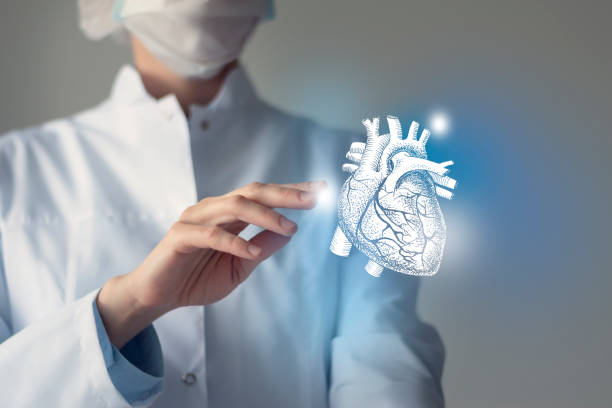 Unrecognizable doctor caring highlighted blue handrawn Heart. Medical illustration, template, science mockup. stock photo