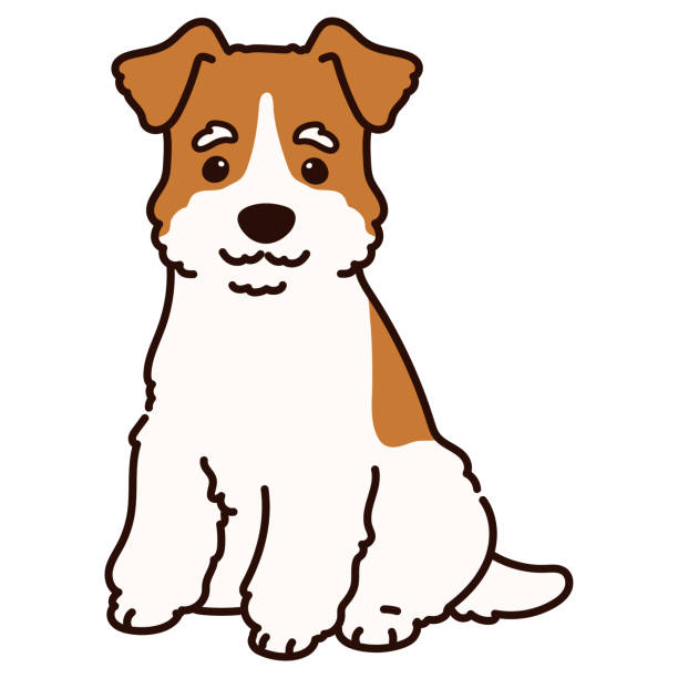 ilustrações, clipart, desenhos animados e ícones de simples e adorável fox terrier sentado na vista da frente delineado - fox terrier