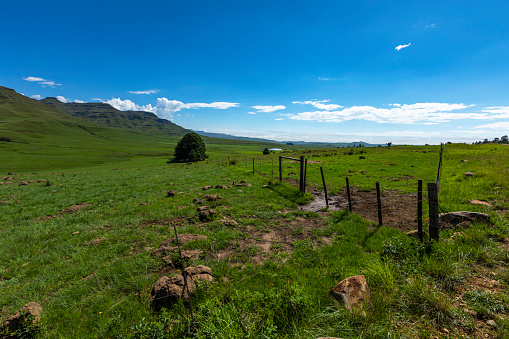 Farm fence and green pastures Drakensberg South Africa