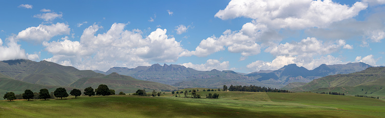 Green pastures at the foothills of the Drakensberg  South Africa
