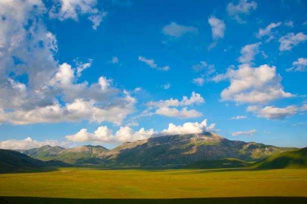 istock Fioritura Piane di castelluccio, Italia 1397368700