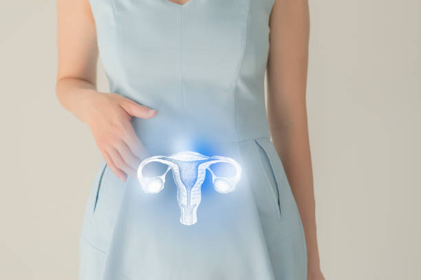 Woman in blue clothes holding virtual uterus in hand. Handrawn human organ, detox and healthcare, healthcare hospital service concept stock photo stock photo
