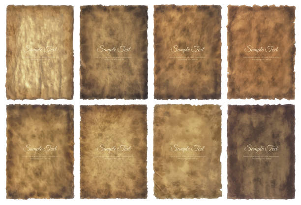 ilustrações, clipart, desenhos animados e ícones de coleção vetorial conjunto folha de papel pergaminho antigo vintage envelhecido ou textura isolada em fundo branco - backgrounds history textile torn