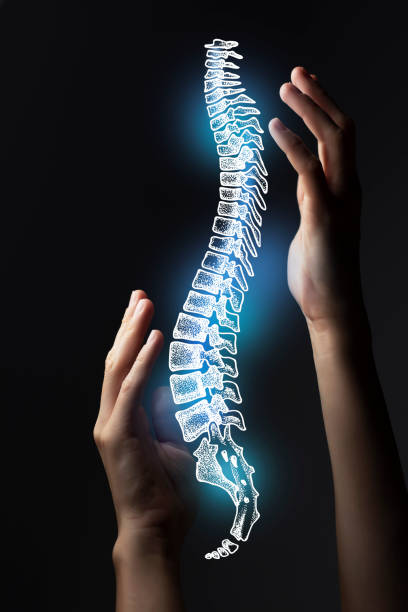 Aesthitic handdrawn illustration of human spine highlighted blue. Photo collage with female hand on dark studio background. stock photo