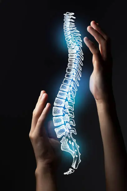 Surgeon doctor, Human spine structureissues. Medical technologies concept. Gymnastics and ostheopathy.