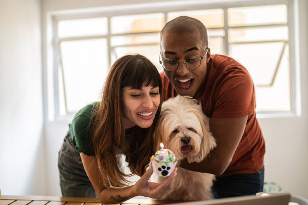 istock Couple celebrating dog's birthday doing a virtual party using laptop at home 1397371106
