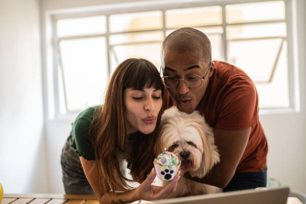 istock Couple celebrating dog's birthday doing a virtual party using laptop at home 1397371124