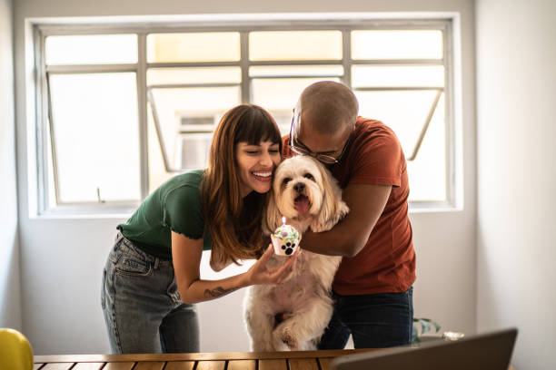 istock Couple celebrating dog's birthday doing a virtual party using laptop at home 1397371138