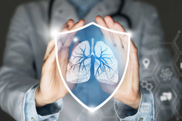 Unrecognizable female doctor holding shield and graphic virtual visualization of Lungs organ in hands. stock photo