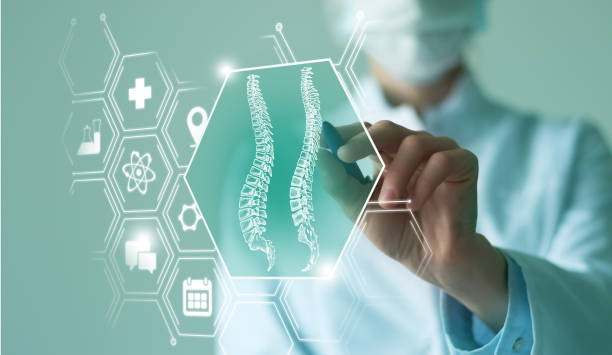 Unrecognizable female doctor holding graphic virtual visualization model of Spine (Vertebra) organ in hands. Multiple virtual medical icons. stock photo