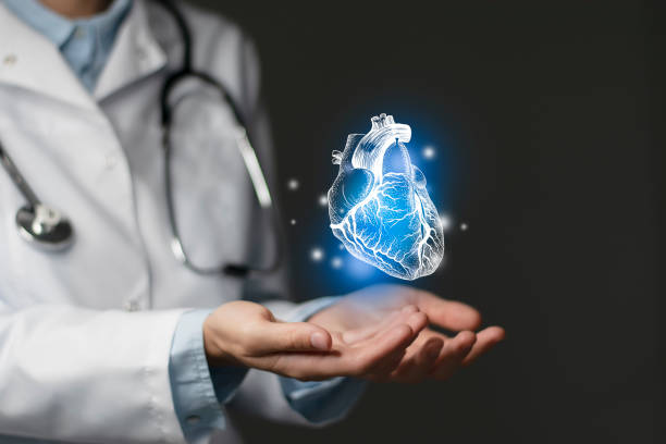 Cardiologist doctor, heart specialist. Aesthetic handdrawn highlighted illustration of human heart. Dark grey background, studio photo and collage. stock photo