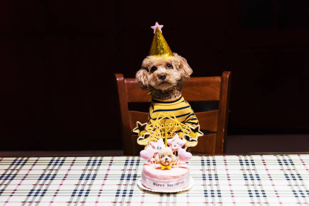 istock Teddy Sixth Birthday and Birthday Cake 1397373360