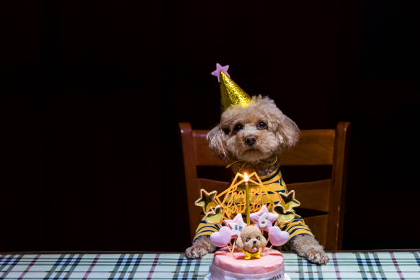istock Teddy Sixth Birthday and Birthday Cake 1397373373