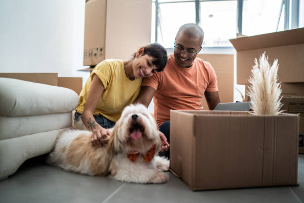 istock Young couple packing and moving boxes at home 1397373454