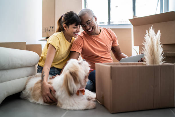 young couple packing and moving boxes at home - moving house apartment couple box imagens e fotografias de stock