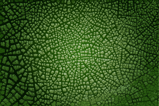 Fully customizable green vector crackle background.