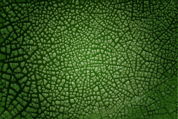 Green life Fully customizable green vector crackle background. green science background stock illustrations