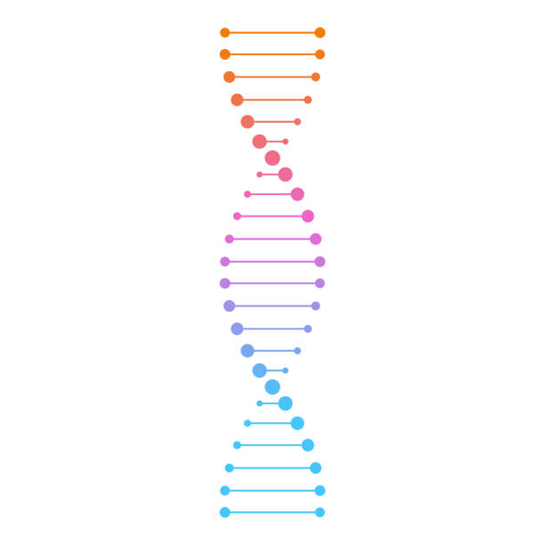 Dna icon on white background Dna icon on white background dna helix stock illustrations