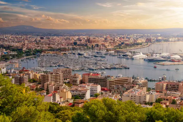 Photo of View of Bay of Palma de Mallorca with city skyline and Yacht harbor , seen from Bellver Castle - Balearic Islands , Spain