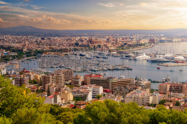 view of bay of palma de mallorca with city skyline and yacht harbor , seen from bellver castle - balearic islands , spain - sea commercial dock harbor bay imagens e fotografias de stock