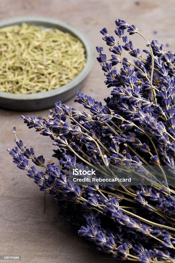 Lavandula angustifolia - Lizenzfrei Alternative Medizin Stock-Foto