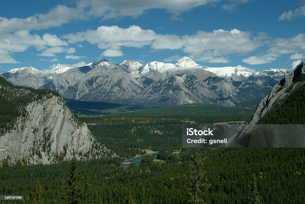 Skalista dolina rzeki górskie - Zbiór zdjęć royalty-free (Alberta)