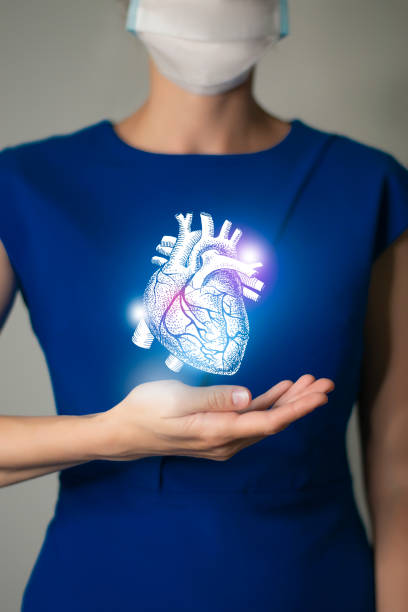 Unrecognizable woman in blue clothes holding highlighted handrawn Heart in hands. Medical illustration, template, science mockup. stock photo