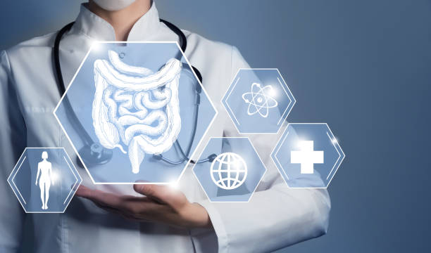 Unrecognizable female doctor holding graphic virtual visualization model of Intestine organ in hands. Multiple medical icons on the background. stock photo