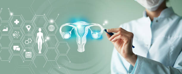 Unrecognizable female doctor holding graphic virtual visualization model of Uterus organ in hands. Multiple medical icons on the background. stock photo