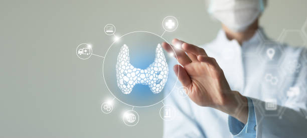 Unrecognizable female doctor holding shield and graphic virtual visualization of Thyroid Gland organ in hands. Protecting patient`s health and recovery concept. Neutral color palette, copy space for text. hyperthyroidism drawing stock pictures, royalty-free photos & images