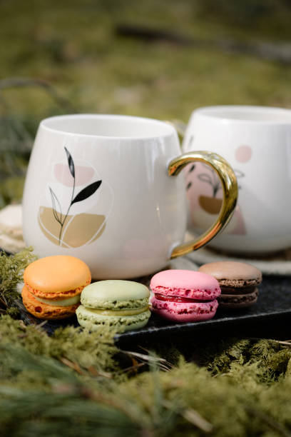 istock Colorful macaroon cookies, picnic in the forest 1397378735