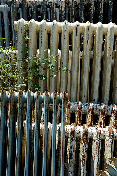 vita e morte parte 2 - radiator old flower destruction foto e immagini stock