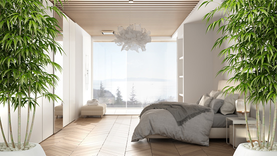 Zen interior with potted bamboo plant, natural interior design concept, minimalist luxury bedroom with shower, double bed and window, contemporary modern architecture concept idea