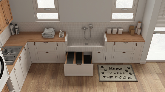 Pet friendly mudroom, laundry room in white tones with cabinets and dog bath shower with tiles and faucet, wooden ladder inside a drawer. Top view, above. Cozy interior design idea