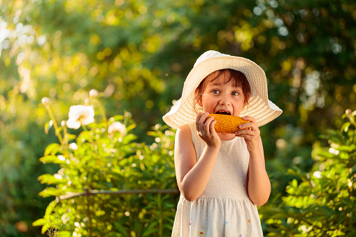 A happy little girl in a hat eating corn on the cob. Sunny summer day in the village. Copy space.