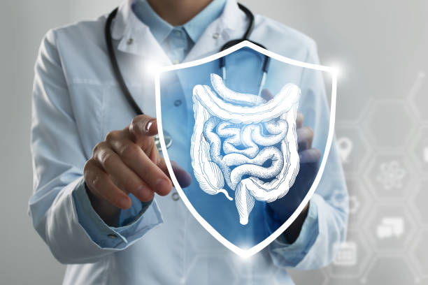 Unrecognizable female doctor holding shield and graphic virtual visualization of Intestine organ in hands. stock photo